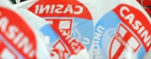 bandiere udc
