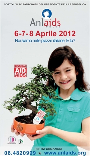 Locandina bonsai Anlaids