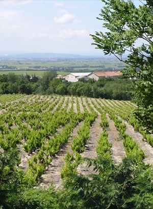 Agricoltura