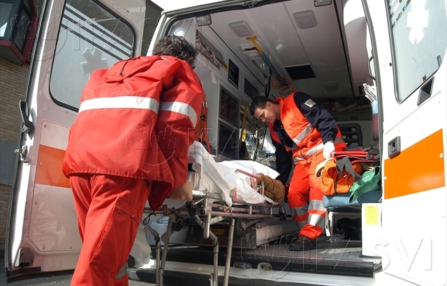 Incidente sulla provinciale, il legale: «Il cavallo non vagava liberamente»