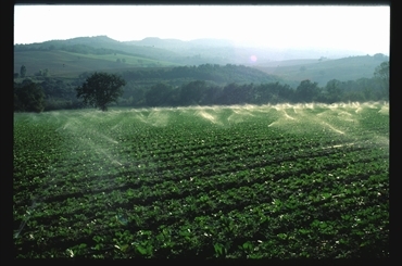 agricoltura irrigazione