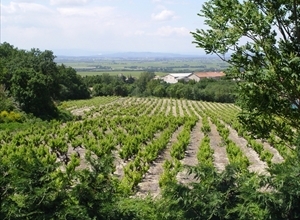 Agricoltura