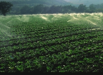 agricoltura irrigazione