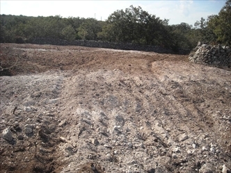 agricoltura
