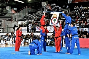 Oro e argento per il taekwondo terlizzese