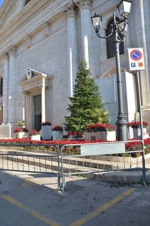 Il parcheggio dei disabili occupato dalle transenne a protezione dell'addobbo floreale ai piedi della Cattedrale durante le feste natalizie
