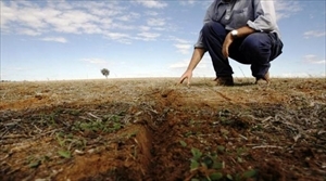Agricoltura in crisi per la siccità