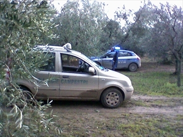 guardie campestri polizia di stato