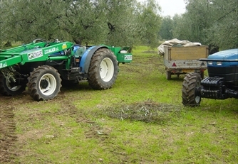 trattore mezzi agricoli raccolta olive