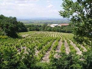 Agricoltura