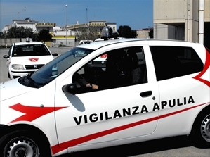 Vigilanza Apulia