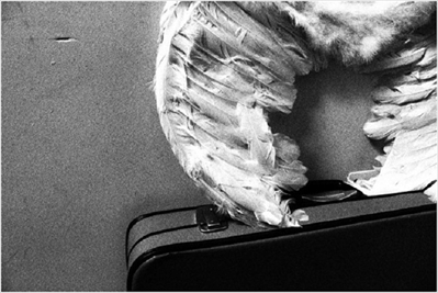 Il viaggio dei sogni sospesi