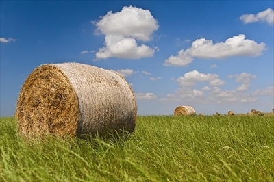 Agricoltura.