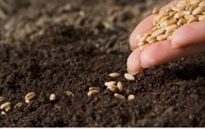 Agricoltura