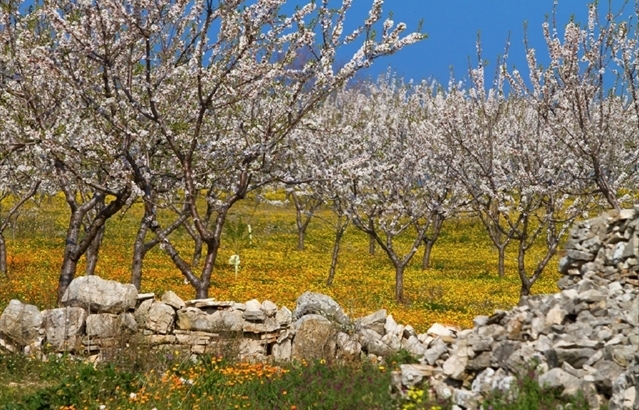 Il Parco Alta Murgia