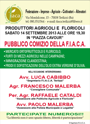 pubblico comizio