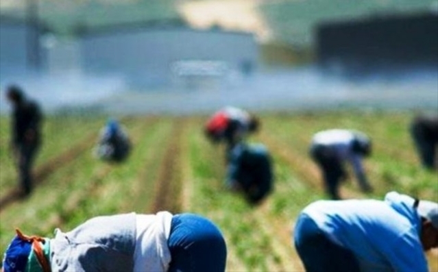 braccianti agricoli