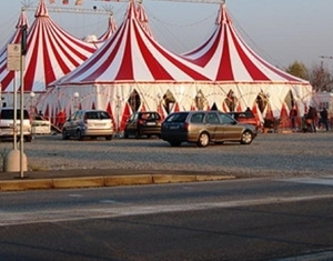 Circo