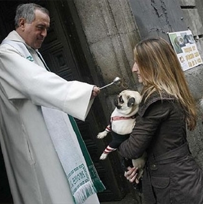 benedizione degli animali