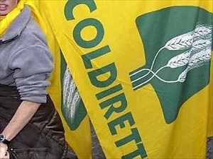 Coldiretti