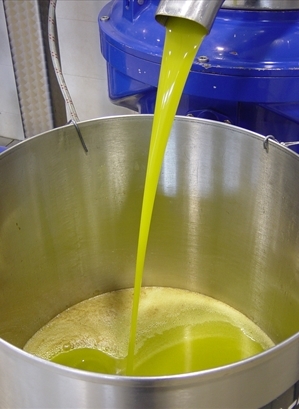 olio d'oliva frantoio