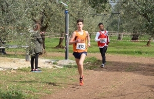 Vincenzo Grieco in azione