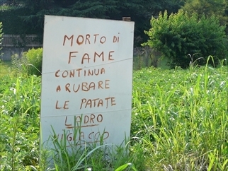 ladri nelle campagne
