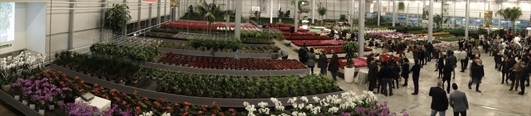 Fioristi e garden center da tutta Italia