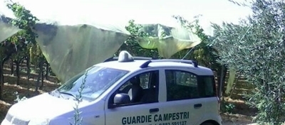Guardie Campestri