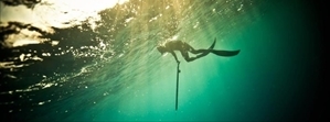 Il mare e la natura tutta la vitalità del giovane avvocato