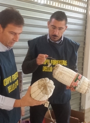 Denunciate dalla Forestale sei persone nell’operazione “Natale a tavola 2014”