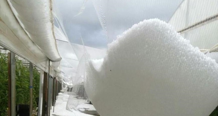 Serre danneggiate dalla neve