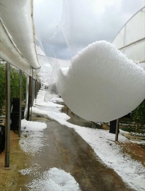 Serre danneggiate dalla neve