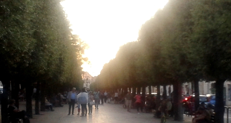 Viale alberato nel centro cittadino