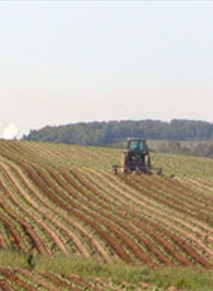 Agricoltura.