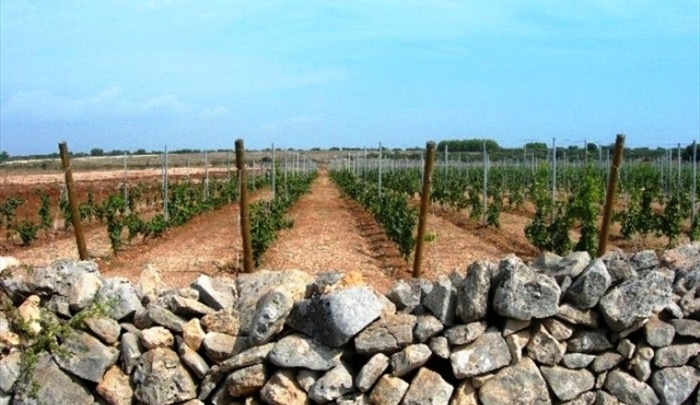 Uno scorcio di campagna
