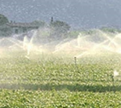 campi irrigati