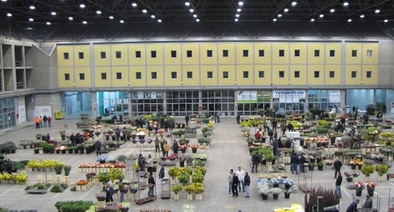 Il Mercato dei Fiori di Terlizzi