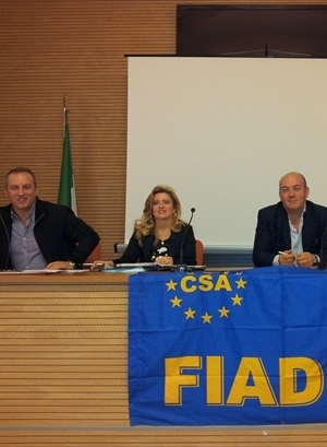 assemblea Csa