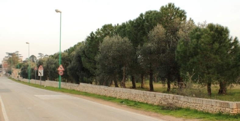 l'area rurale antistante sovereto