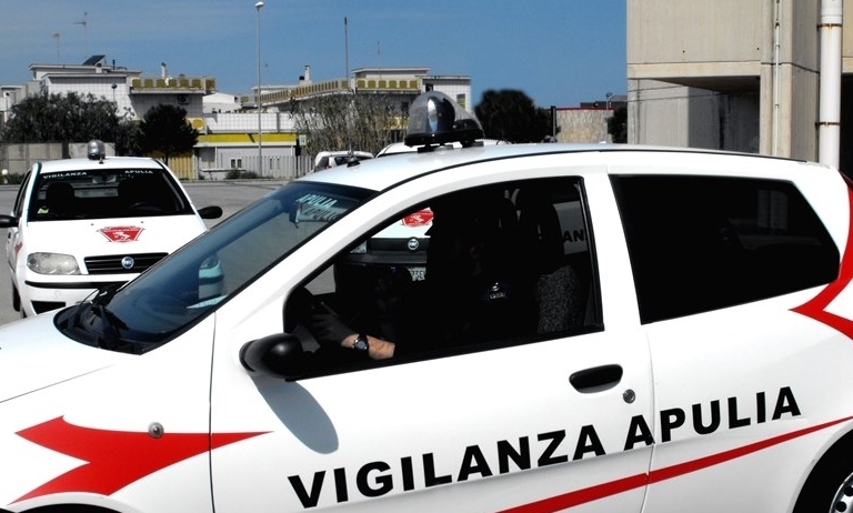pattuglie della vigilanza