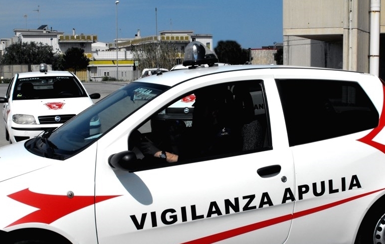 pattuglie della vigilanza