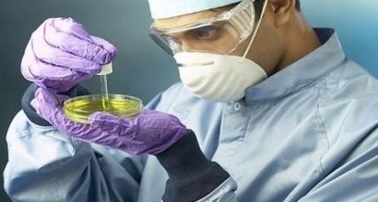 ricerca sulle cellule staminali