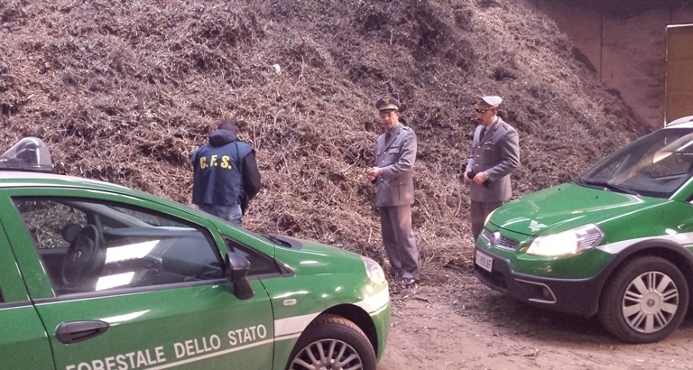 Intervento della Forestale