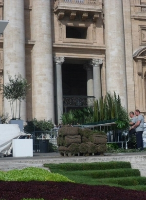 Lavori di addobbo in piazza San Pietro per la domenica delle Palme del 2013