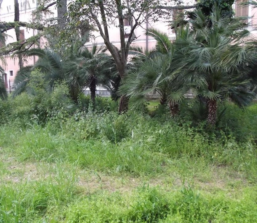 parco marinelli