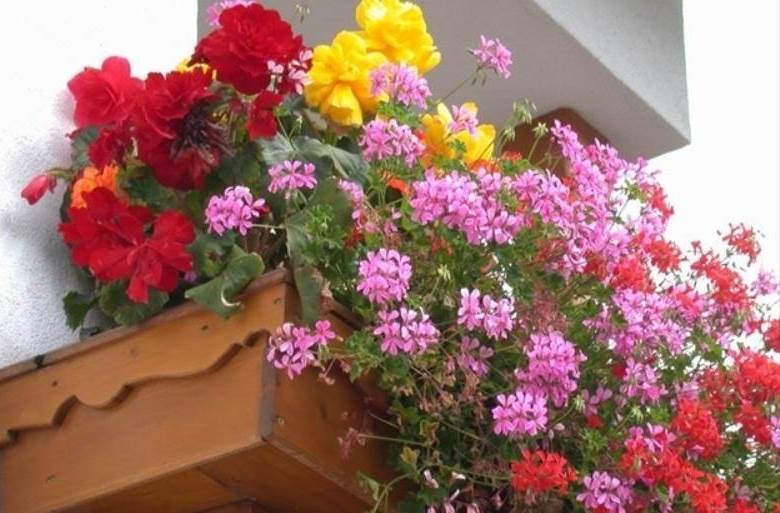 balconi in fiore
