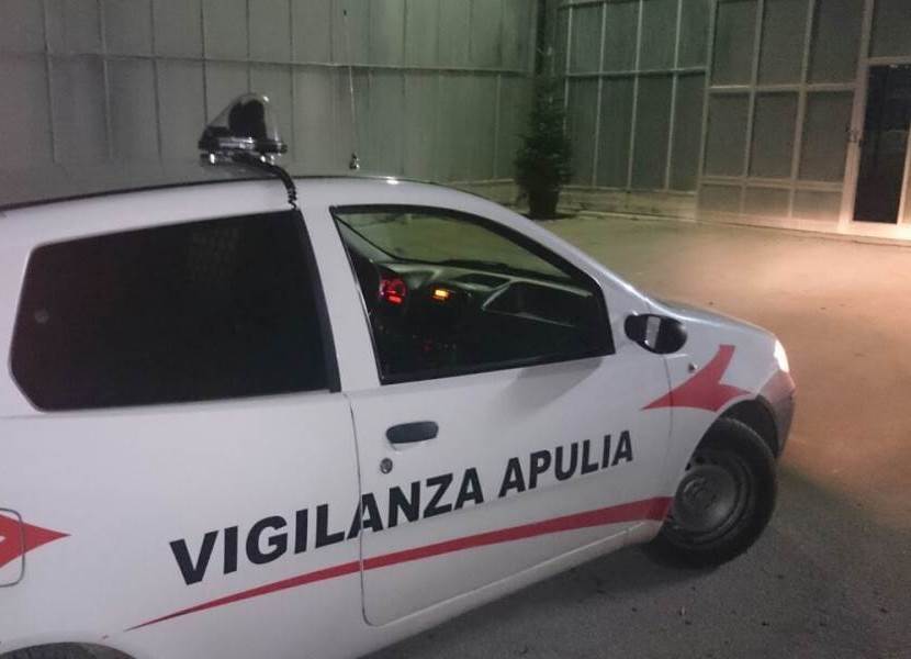 la vigilanza