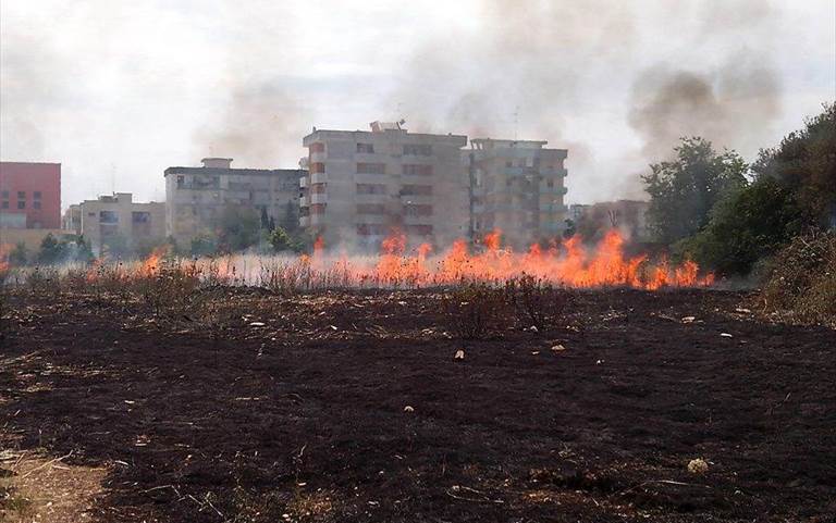 lago dei fiori in fiamme