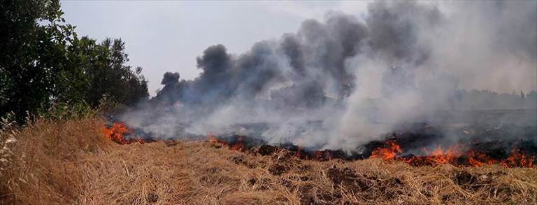 incendio in contrada paradiso